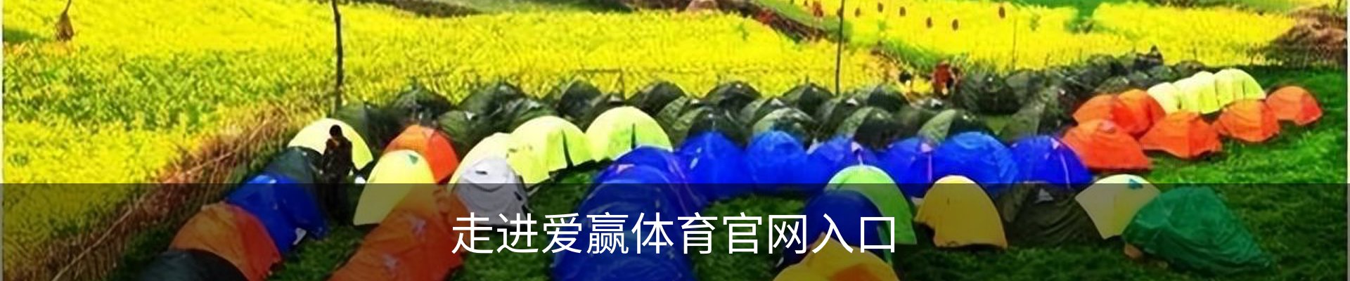 走进爱赢体育官网入口